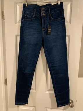 Ann Taylor Skinny Jeans in Deep Indigo